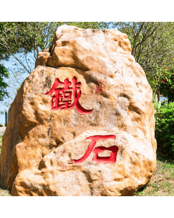 深圳4大週末郊遊必去水庫推介🤩💧漫畫大草坪、湖光塔打卡放鬆首選🌿