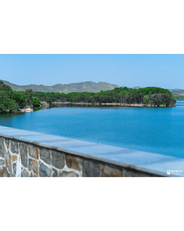 深圳4大週末郊遊必去水庫推介🤩💧漫畫大草坪、湖光塔打卡放鬆首選🌿