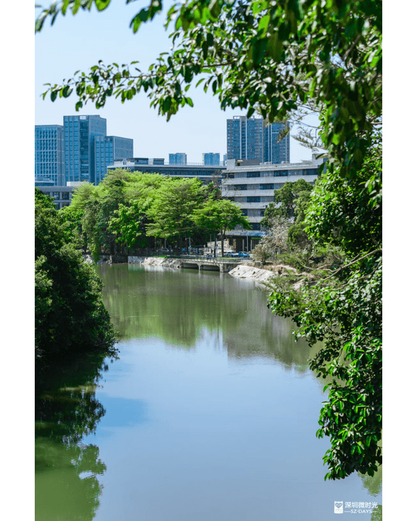 深圳4大週末郊遊必去水庫推介🤩💧漫畫大草坪、湖光塔打卡放鬆首選🌿