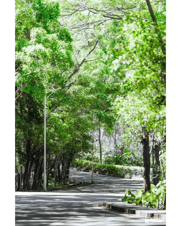 深圳4大週末郊遊必去水庫推介🤩💧漫畫大草坪、湖光塔打卡放鬆首選🌿