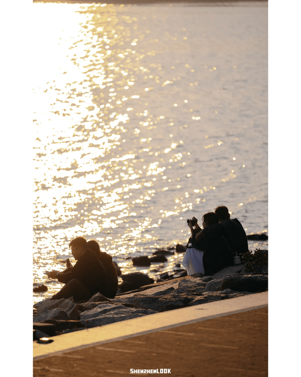 深圳8大勁靚景小眾打卡聖地📸火車平交道勁唯美🚂水上圖書館文青必去📚✨
