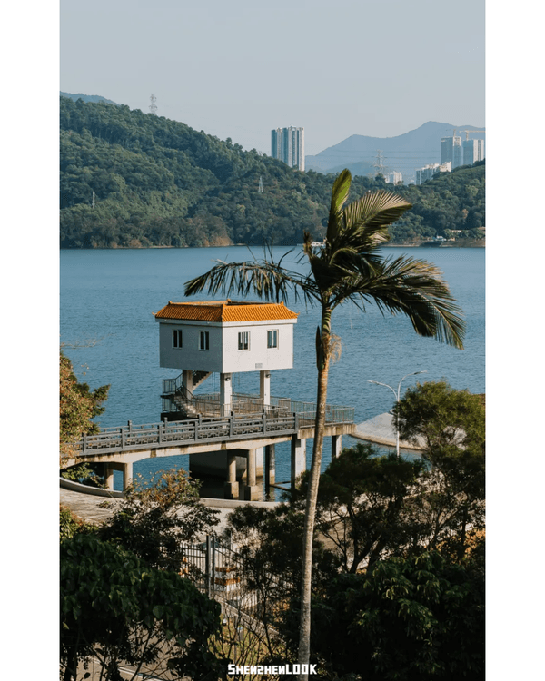 深圳8大勁靚景小眾打卡聖地📸火車平交道勁唯美🚂水上圖書館文青必去📚✨