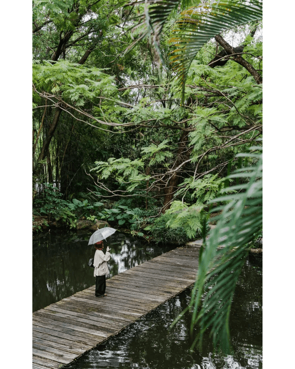 深圳8大勁靚景小眾打卡聖地📸火車平交道勁唯美🚂水上圖書館文青必去📚✨