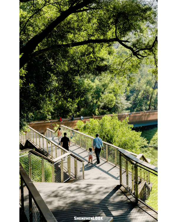 深圳8大勁靚景小眾打卡聖地📸火車平交道勁唯美🚂水上圖書館文青必去📚✨