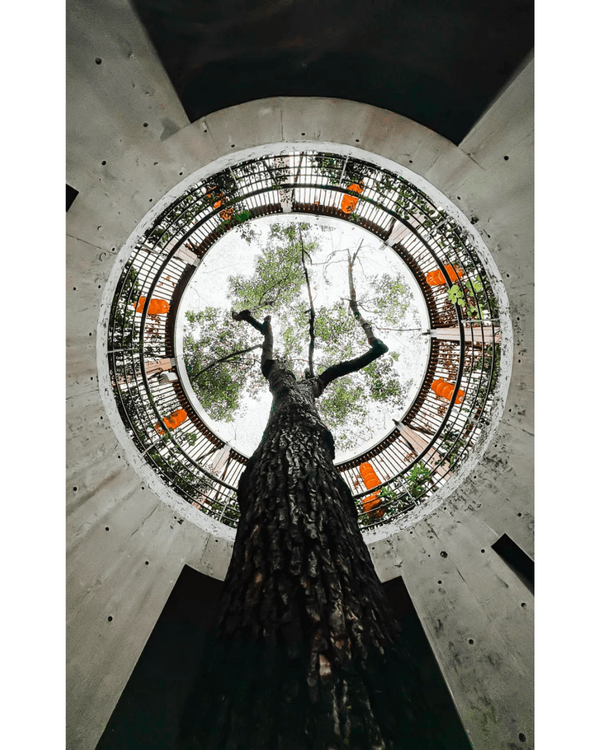 深圳8大勁靚景小眾打卡聖地📸火車平交道勁唯美🚂水上圖書館文青必去📚✨