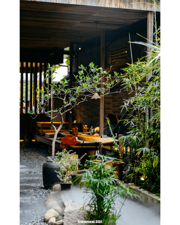 深圳梧桐山10萬株杜鵑盛開🌸￥99坐直升機睇花海🚁仲有春花宴市集勁好行😍🍃