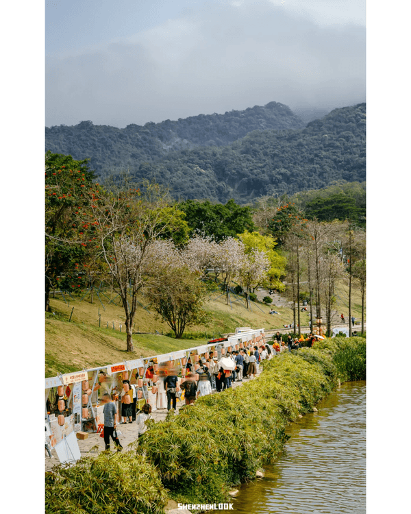 深圳梧桐山10萬株杜鵑盛開🌸￥99坐直升機睇花海🚁仲有春花宴市集勁好行😍🍃
