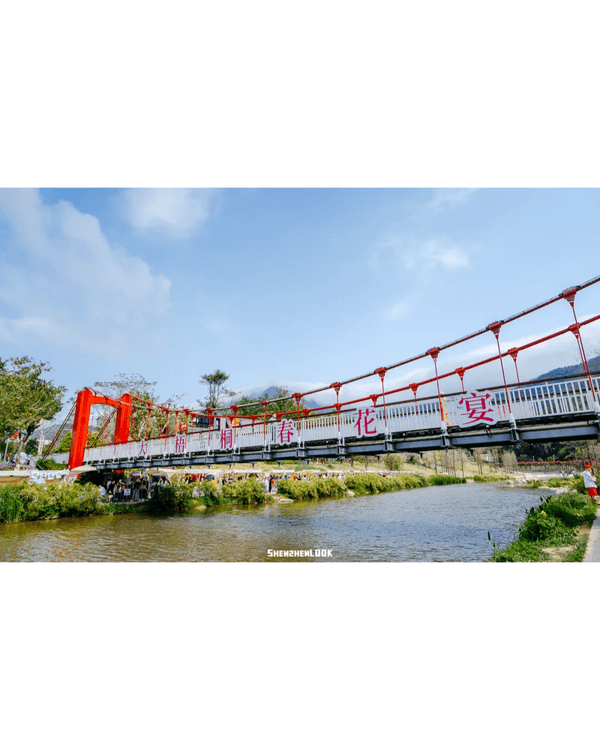 深圳梧桐山10萬株杜鵑盛開🌸￥99坐直升機睇花海🚁仲有春花宴市集勁好行😍🍃