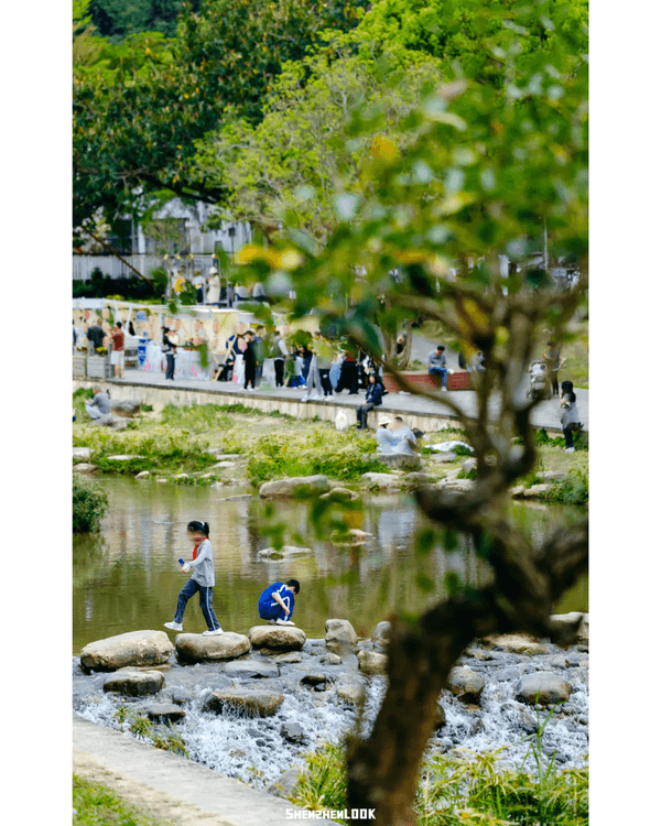 深圳梧桐山10萬株杜鵑盛開🌸￥99坐直升機睇花海🚁仲有春花宴市集勁好行😍🍃