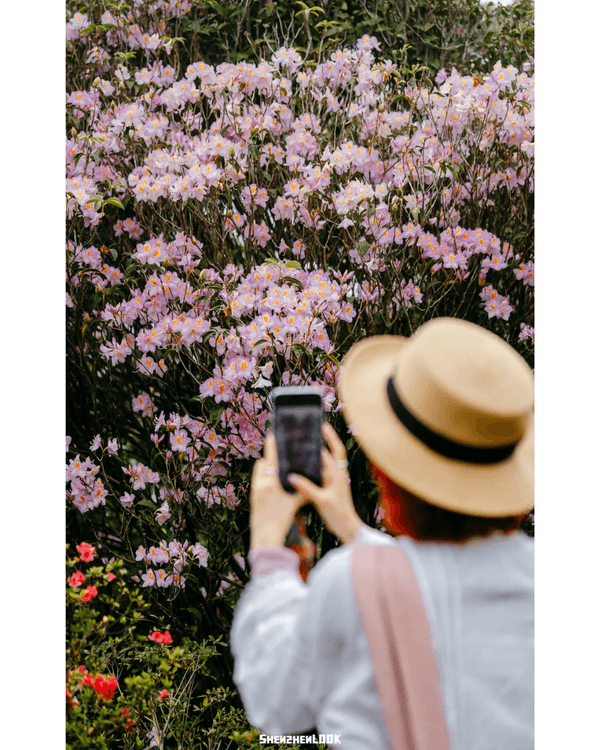 深圳梧桐山10萬株杜鵑盛開🌸￥99坐直升機睇花海🚁仲有春花宴市集勁好行😍🍃