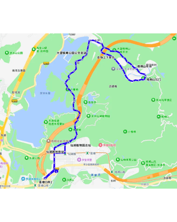 深圳梧桐山10萬株杜鵑盛開🌸￥99坐直升機睇花海🚁仲有春花宴市集勁好行😍🍃