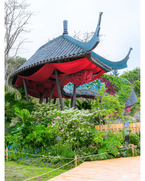 深圳粵港澳大灣區花展開幕💐31座花園規模最大‼️船上打卡一秒穿越江南😍