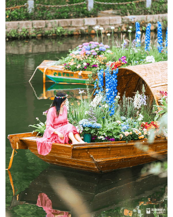 深圳粵港澳大灣區花展開幕💐31座花園規模最大‼️船上打卡一秒穿越江南😍
