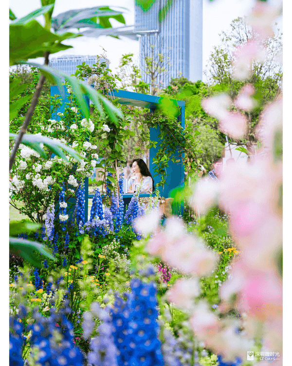 深圳粵港澳大灣區花展開幕💐31座花園規模最大‼️船上打卡一秒穿越江南😍