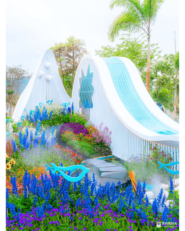 深圳粵港澳大灣區花展開幕💐31座花園規模最大‼️船上打卡一秒穿越江南😍