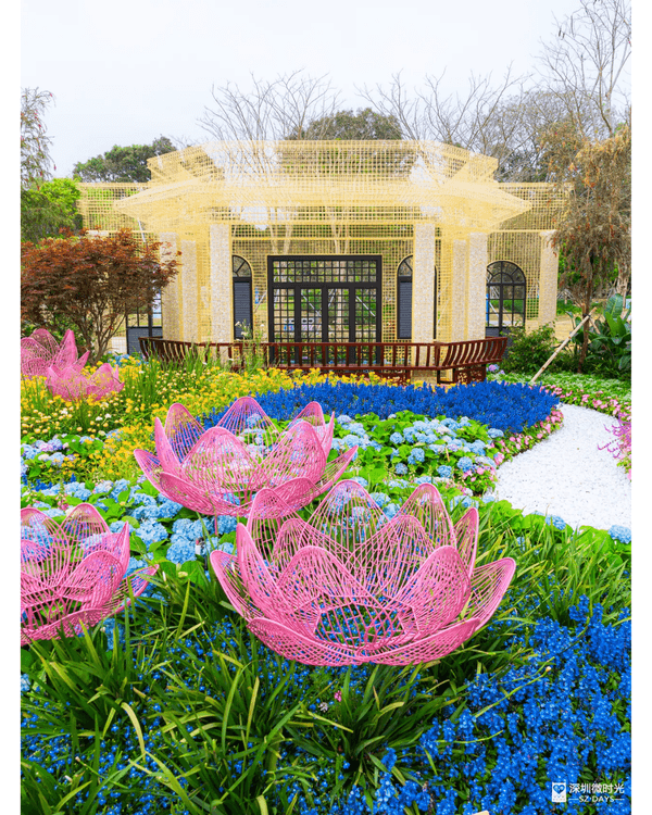 深圳粵港澳大灣區花展開幕💐31座花園規模最大‼️船上打卡一秒穿越江南😍
