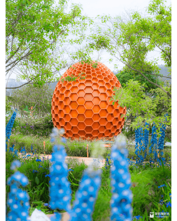 深圳粵港澳大灣區花展開幕💐31座花園規模最大‼️船上打卡一秒穿越江南😍