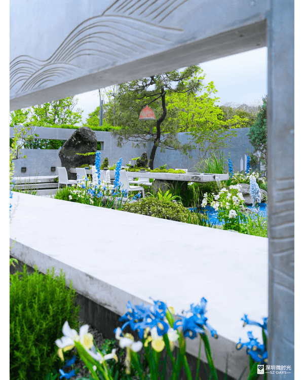 深圳粵港澳大灣區花展開幕💐31座花園規模最大‼️船上打卡一秒穿越江南😍