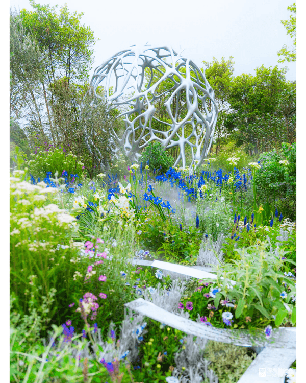 深圳粵港澳大灣區花展開幕💐31座花園規模最大‼️船上打卡一秒穿越江南😍