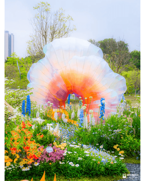 深圳粵港澳大灣區花展開幕💐31座花園規模最大‼️船上打卡一秒穿越江南😍