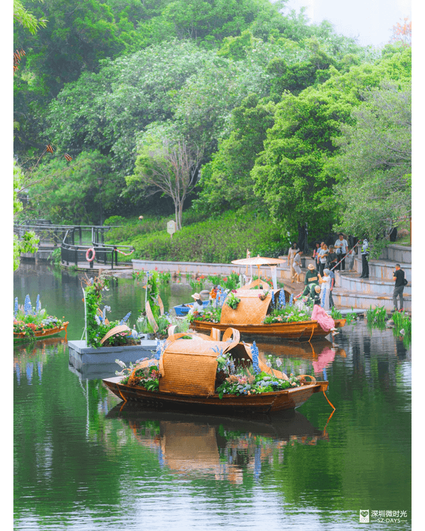深圳粵港澳大灣區花展開幕💐31座花園規模最大‼️船上打卡一秒穿越江南😍