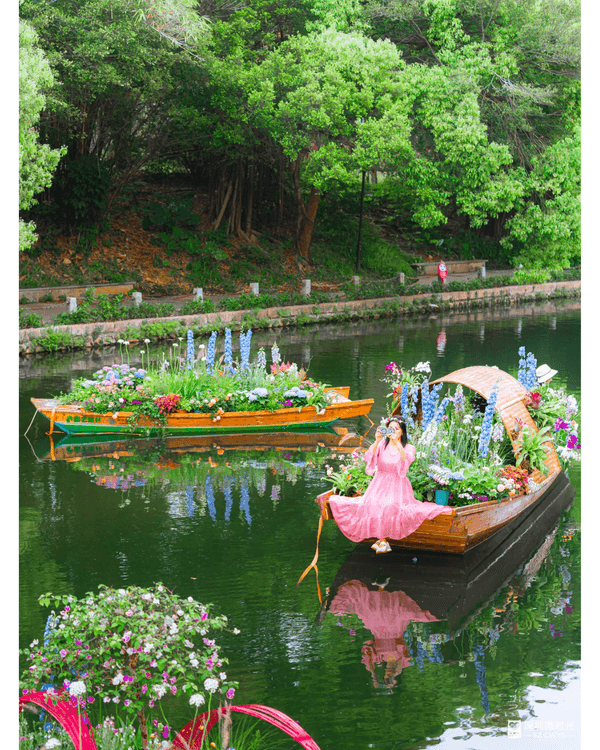 深圳粵港澳大灣區花展開幕💐31座花園規模最大‼️船上打卡一秒穿越江南😍