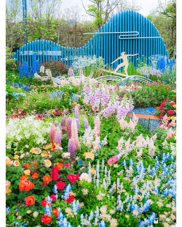 深圳粵港澳大灣區花展開幕💐31座花園規模最大‼️船上打卡一秒穿越江南😍