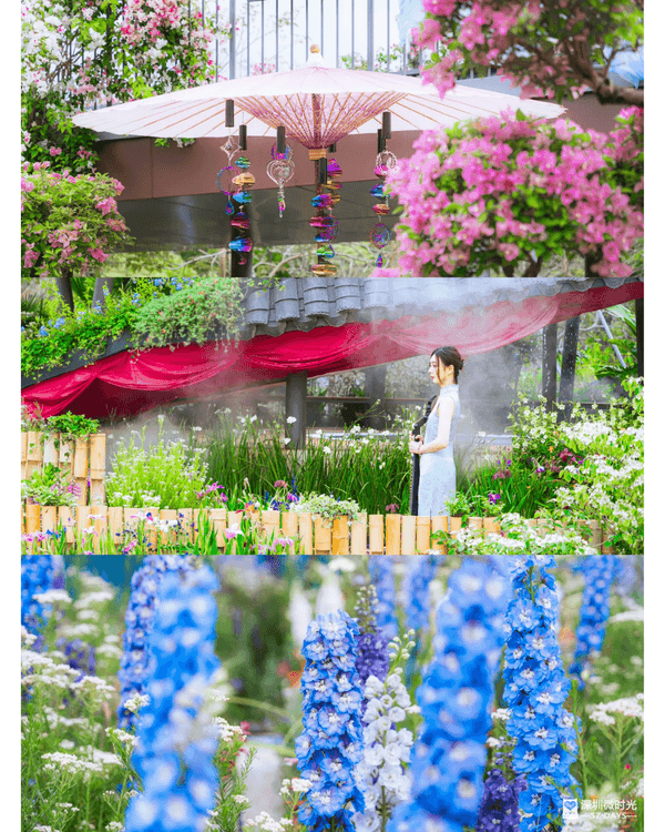 深圳粵港澳大灣區花展開幕💐31座花園規模最大‼️船上打卡一秒穿越江南😍