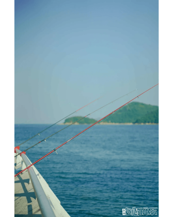 深圳地鐵8號線海邊一日遊攻略🌊打卡燈塔圖書館🌅食網紅鮑魚腸粉😍