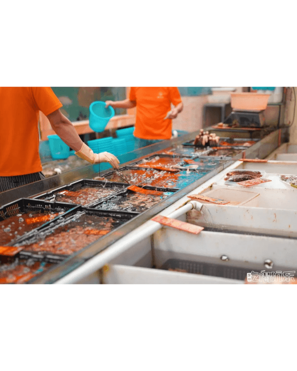 深圳地鐵8號線海邊一日遊攻略🌊打卡燈塔圖書館🌅食網紅鮑魚腸粉😍