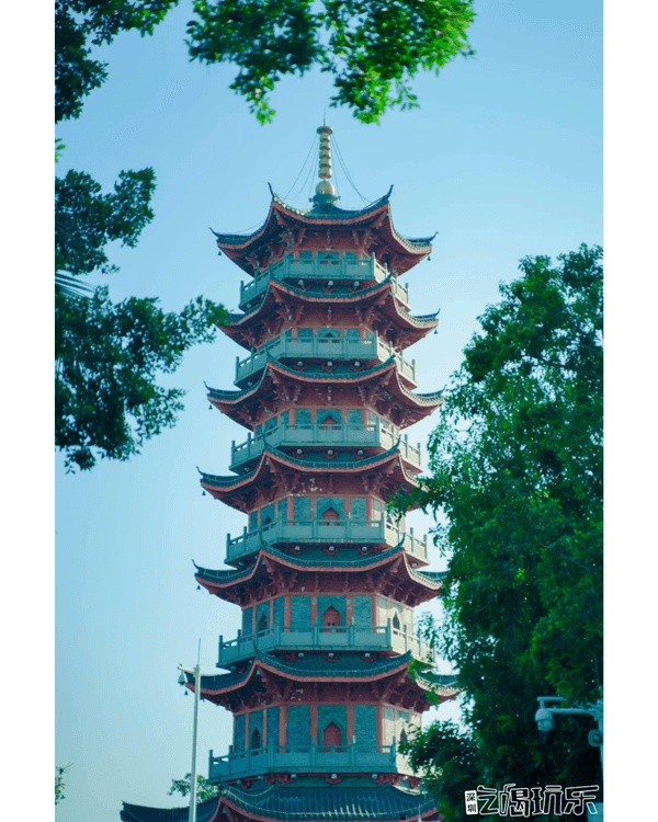 深圳地鐵8號線海邊一日遊攻略🌊打卡燈塔圖書館🌅食網紅鮑魚腸粉😍