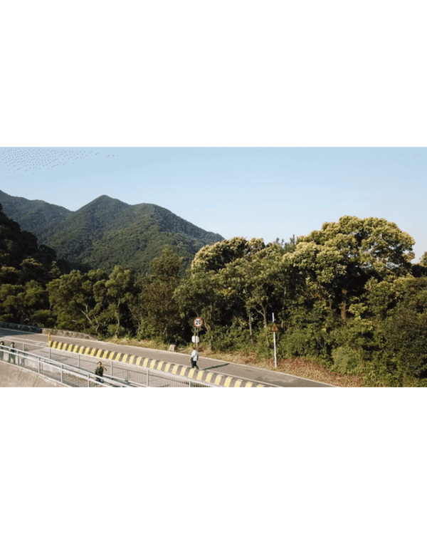 深圳地鐵8號線海邊一日遊攻略🌊打卡燈塔圖書館🌅食網紅鮑魚腸粉😍