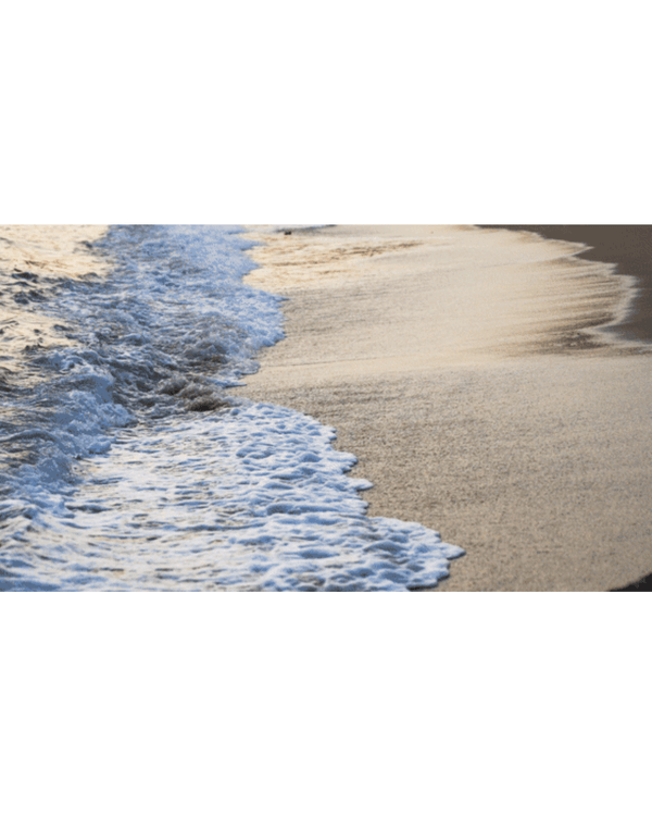 深圳地鐵8號線海邊一日遊攻略🌊打卡燈塔圖書館🌅食網紅鮑魚腸粉😍