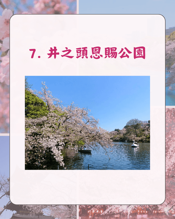 東京10大熱門櫻花勝地排名🌸上野公園痛失冠軍😱「1景點」花期最長‼️