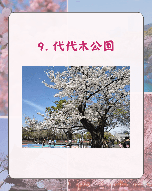 東京10大熱門櫻花勝地排名🌸上野公園痛失冠軍😱「1景點」花期最長‼️