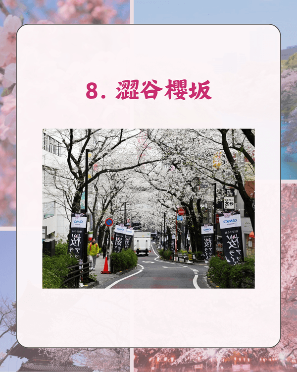 東京10大熱門櫻花勝地排名🌸上野公園痛失冠軍😱「1景點」花期最長‼️