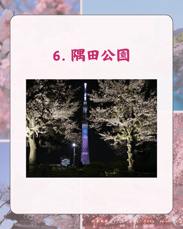 東京10大熱門櫻花勝地排名🌸上野公園痛失冠軍😱「1景點」花期最長‼️