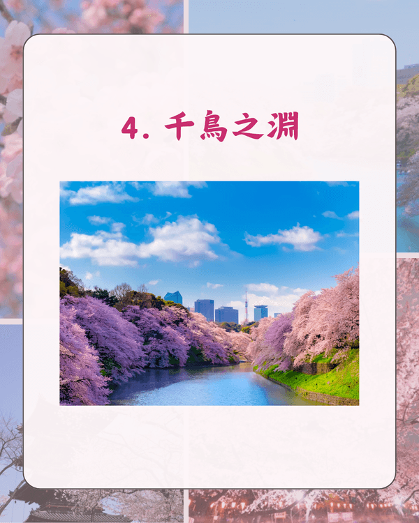 東京10大熱門櫻花勝地排名🌸上野公園痛失冠軍😱「1景點」花期最長‼️