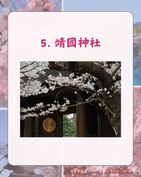 東京10大熱門櫻花勝地排名🌸上野公園痛失冠軍😱「1景點」花期最長‼️