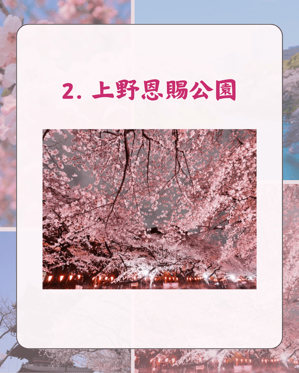 東京10大熱門櫻花勝地排名🌸上野公園痛失冠軍😱「1景點」花期最長‼️