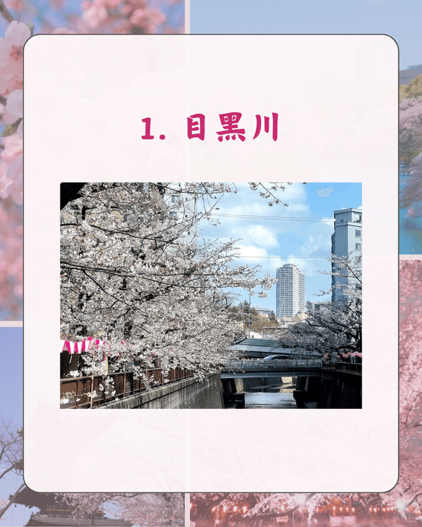 東京10大熱門櫻花勝地排名🌸上野公園痛失冠軍😱「1景點」花期最長‼️