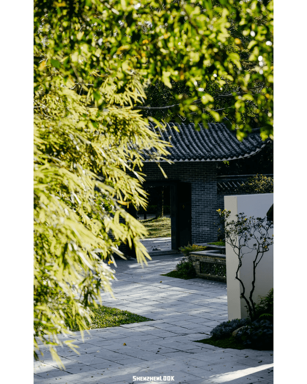 深圳福田5大公園Cafe推介🌳☕️玻璃屋睇住花海歎咖啡勁Chill必去🤩🌸