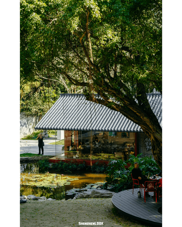 深圳福田5大公園Cafe推介🌳☕️玻璃屋睇住花海歎咖啡勁Chill必去🤩🌸