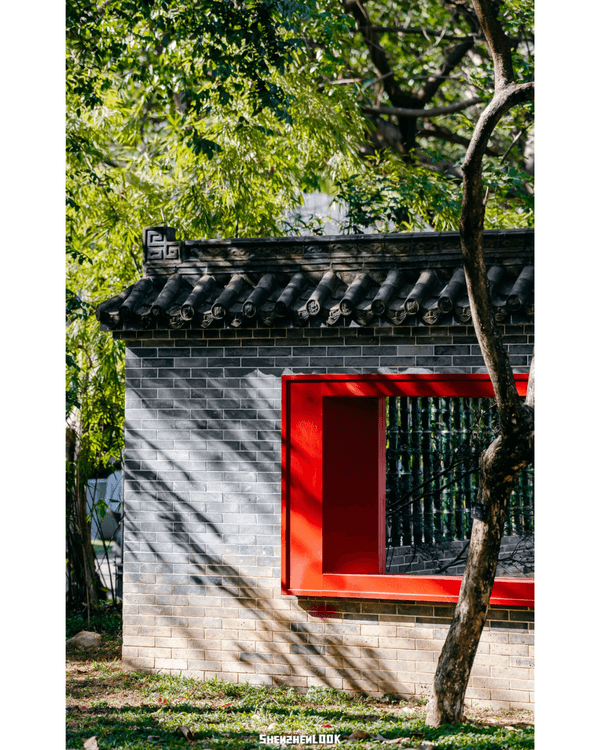 深圳福田5大公園Cafe推介🌳☕️玻璃屋睇住花海歎咖啡勁Chill必去🤩🌸