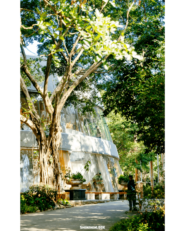 深圳福田5大公園Cafe推介🌳☕️玻璃屋睇住花海歎咖啡勁Chill必去🤩🌸