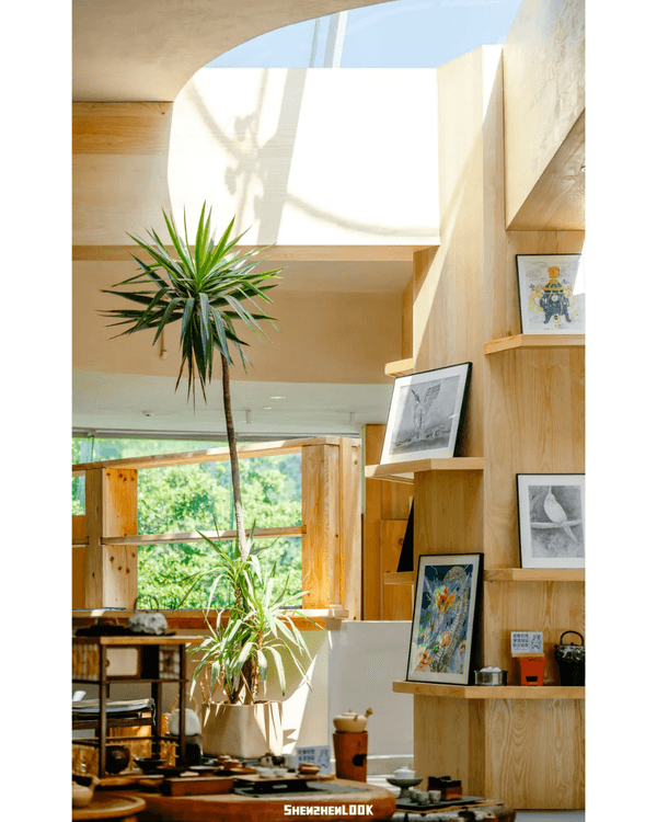 深圳福田5大公園Cafe推介🌳☕️玻璃屋睇住花海歎咖啡勁Chill必去🤩🌸