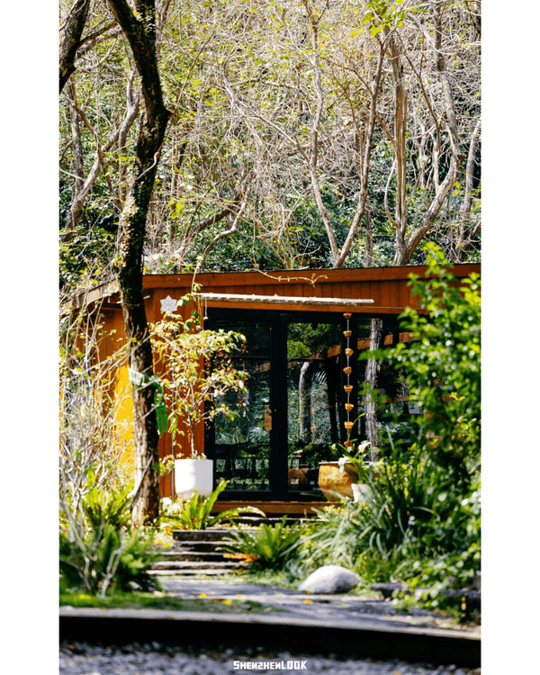 深圳福田5大公園Cafe推介🌳☕️玻璃屋睇住花海歎咖啡勁Chill必去🤩🌸