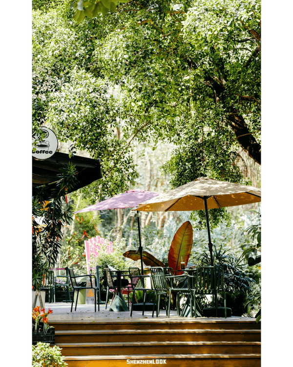 深圳福田5大公園Cafe推介🌳☕️玻璃屋睇住花海歎咖啡勁Chill必去🤩🌸