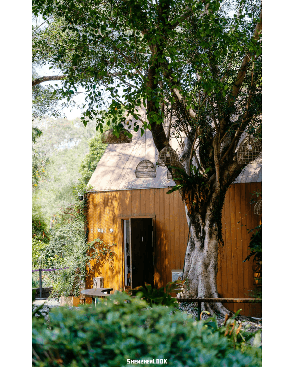 深圳福田5大公園Cafe推介🌳☕️玻璃屋睇住花海歎咖啡勁Chill必去🤩🌸