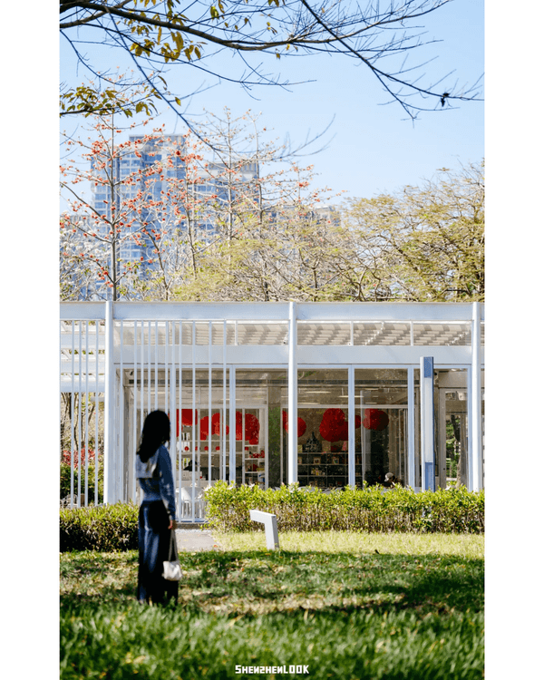 深圳福田5大公園Cafe推介🌳☕️玻璃屋睇住花海歎咖啡勁Chill必去🤩🌸